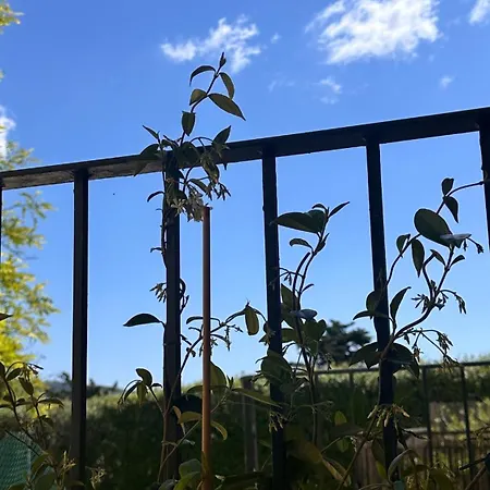 Peonia - Soggiorni Le Grotte Appartamento Camerano